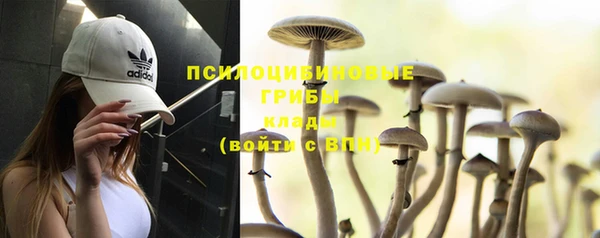 PSILOCYBIN Володарск